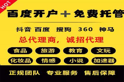 行业首例：SEM推广竞价代运营的突破与挑战